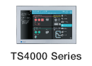 TS4000