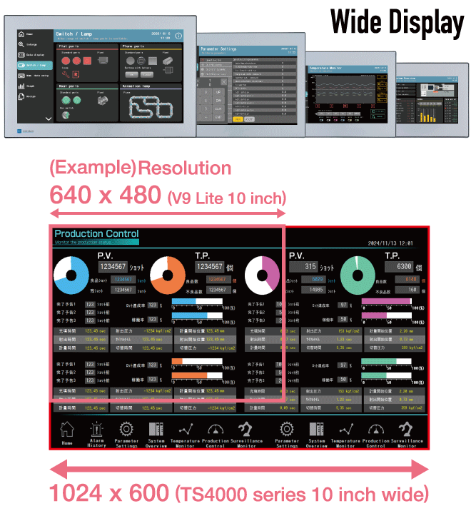 Large Widescreen LCD